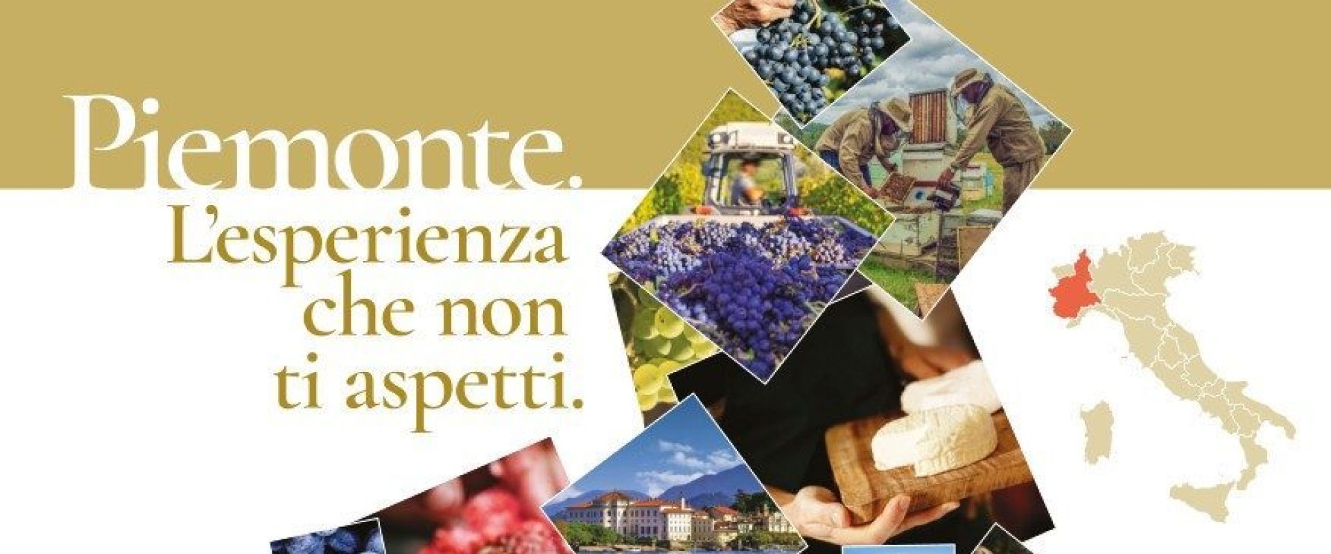 regione Piemonte