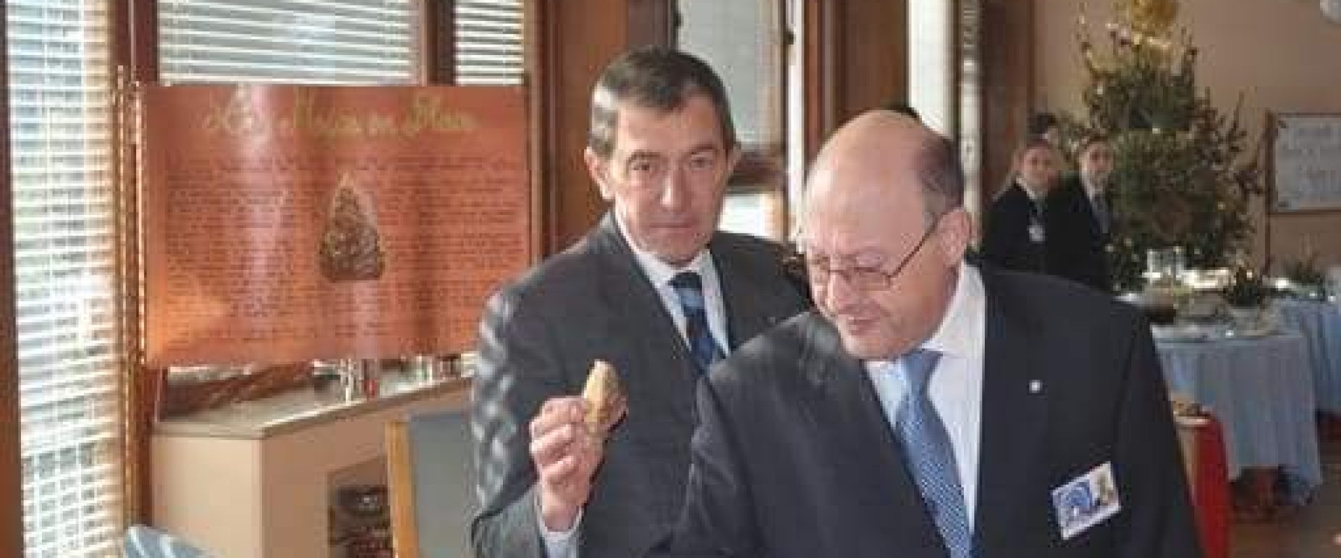 gio rottoli